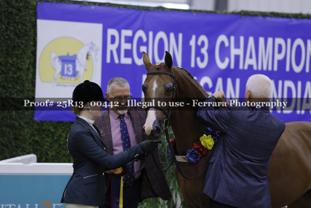 Proof Number 25R13_00442