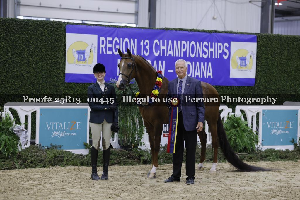 Proof Number 25R13_00445