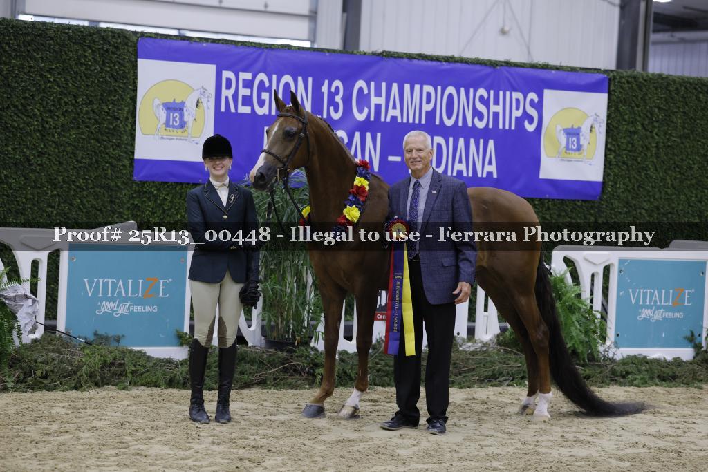 Proof Number 25R13_00448