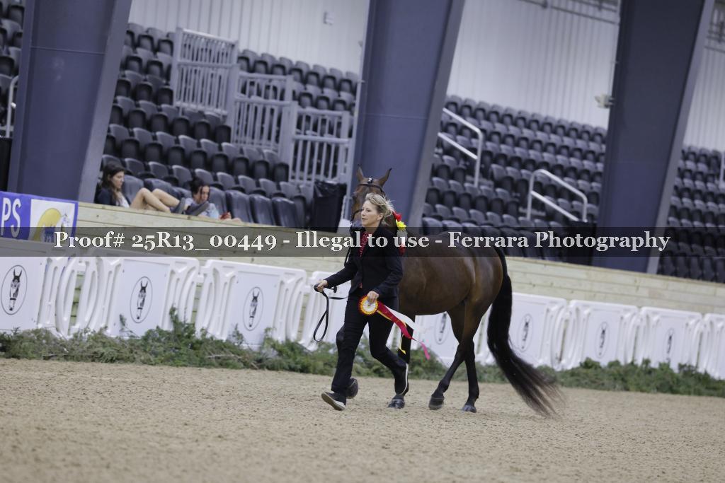 Proof Number 25R13_00449