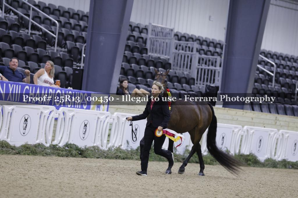 Proof Number 25R13_00450