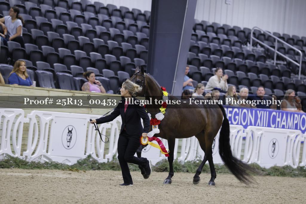Proof Number 25R13_00453