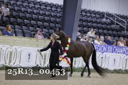 25R13_00453 thumbnail