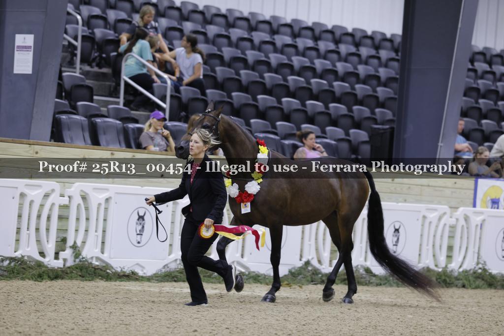 Proof Number 25R13_00454