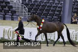 25R13_00456 thumbnail