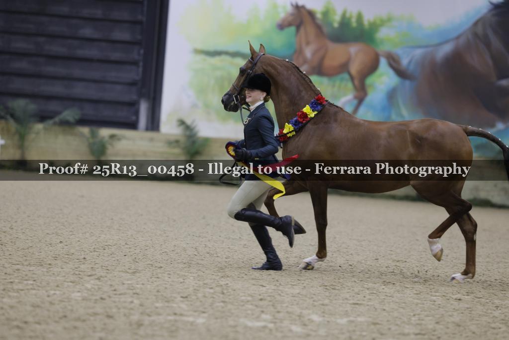 Proof Number 25R13_00458