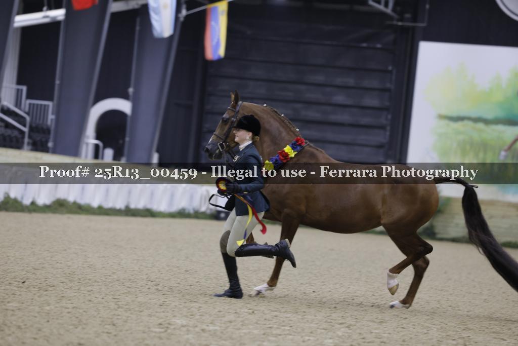 Proof Number 25R13_00459