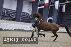 25R13_00460 thumbnail