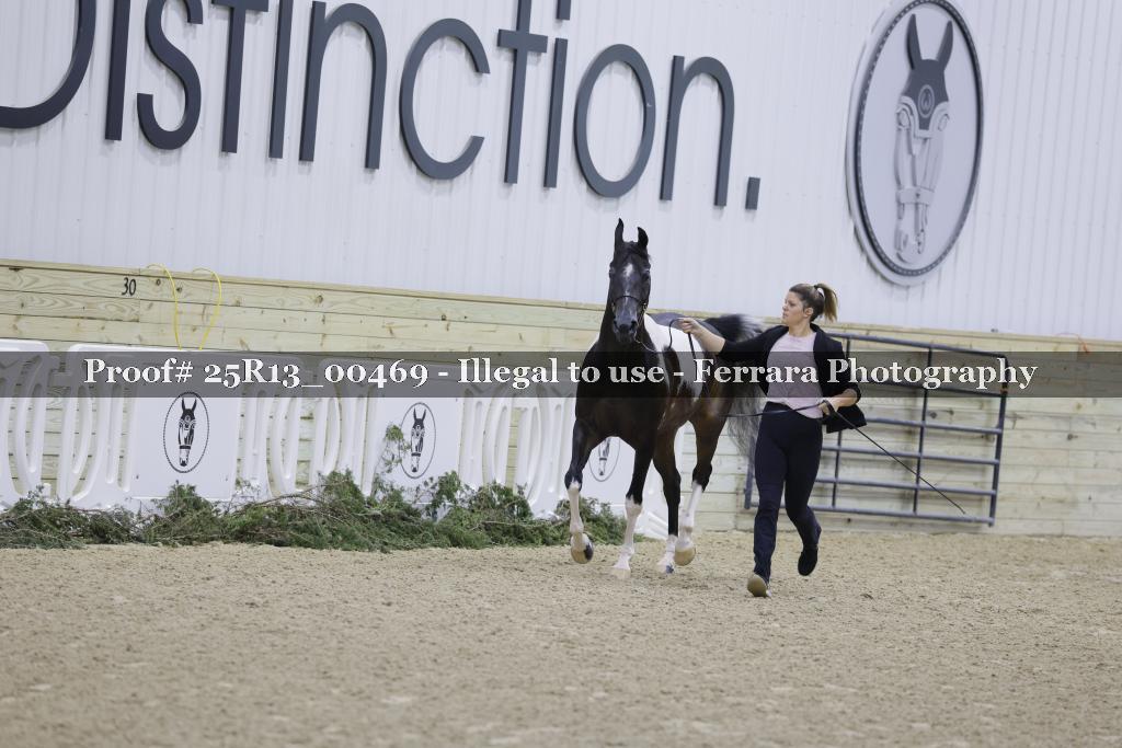 Proof Number 25R13_00469