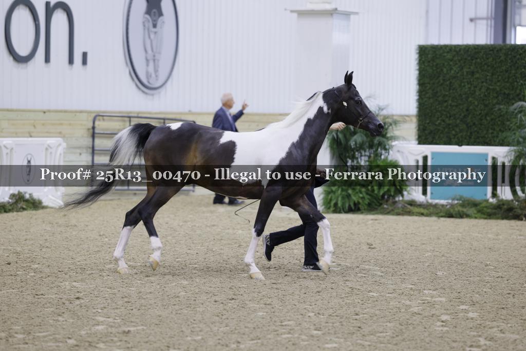 Proof Number 25R13_00470