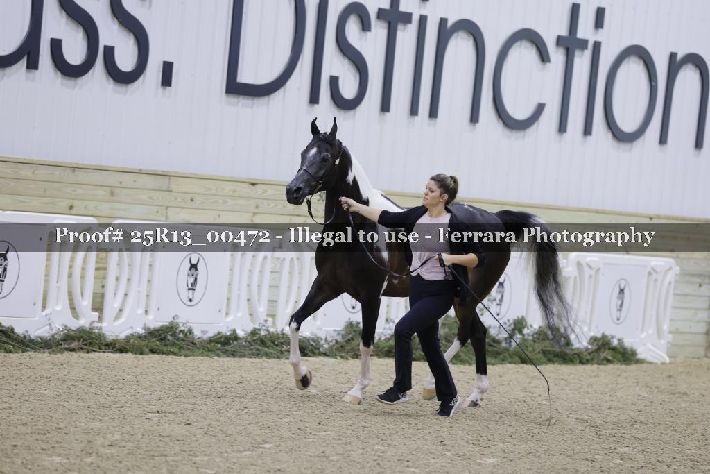 Proof Number 25R13_00472