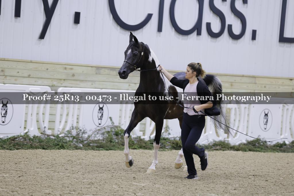 Proof Number 25R13_00473