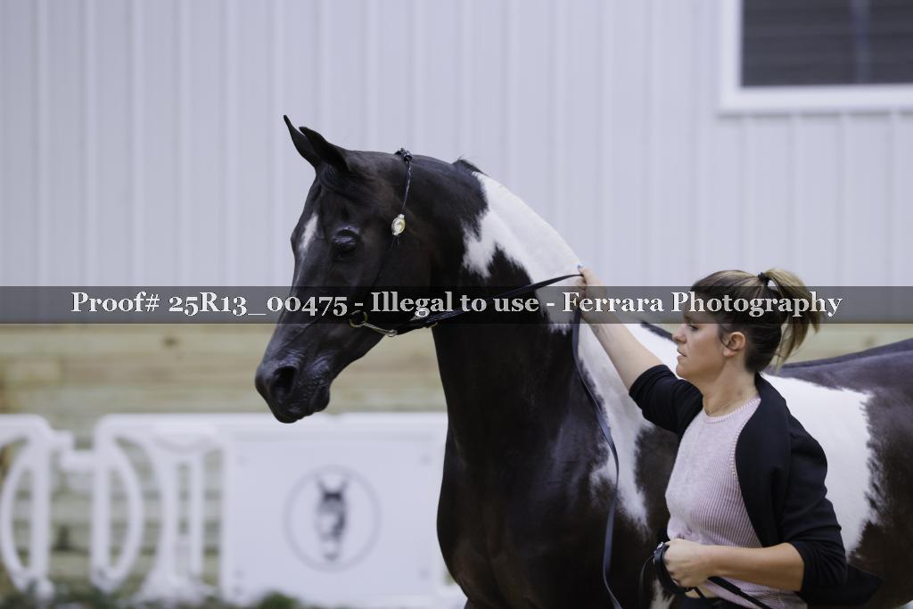Proof Number 25R13_00475