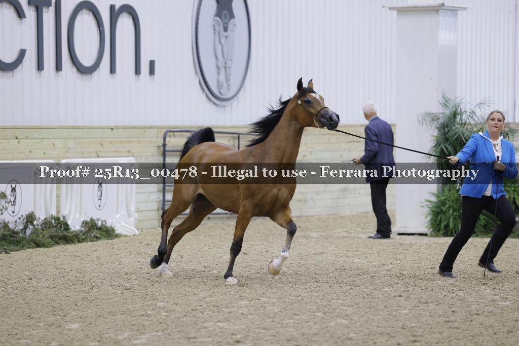 Proof Number 25R13_00478