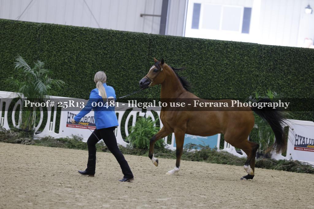 Proof Number 25R13_00481