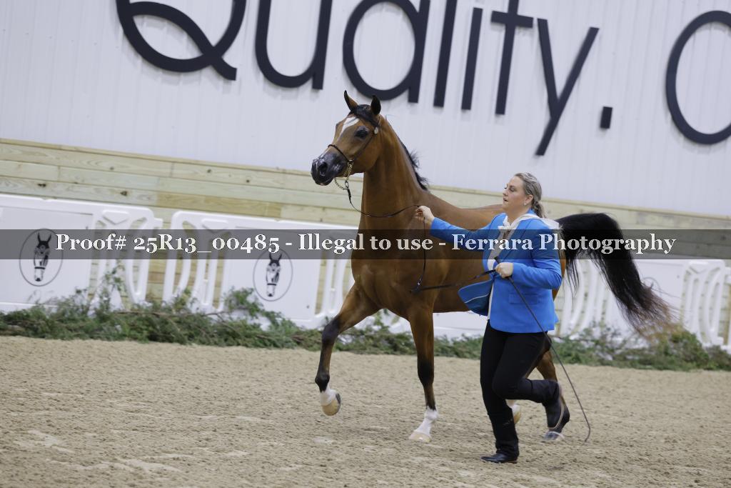Proof Number 25R13_00485