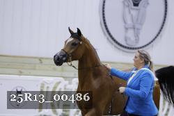 25R13_00486 thumbnail