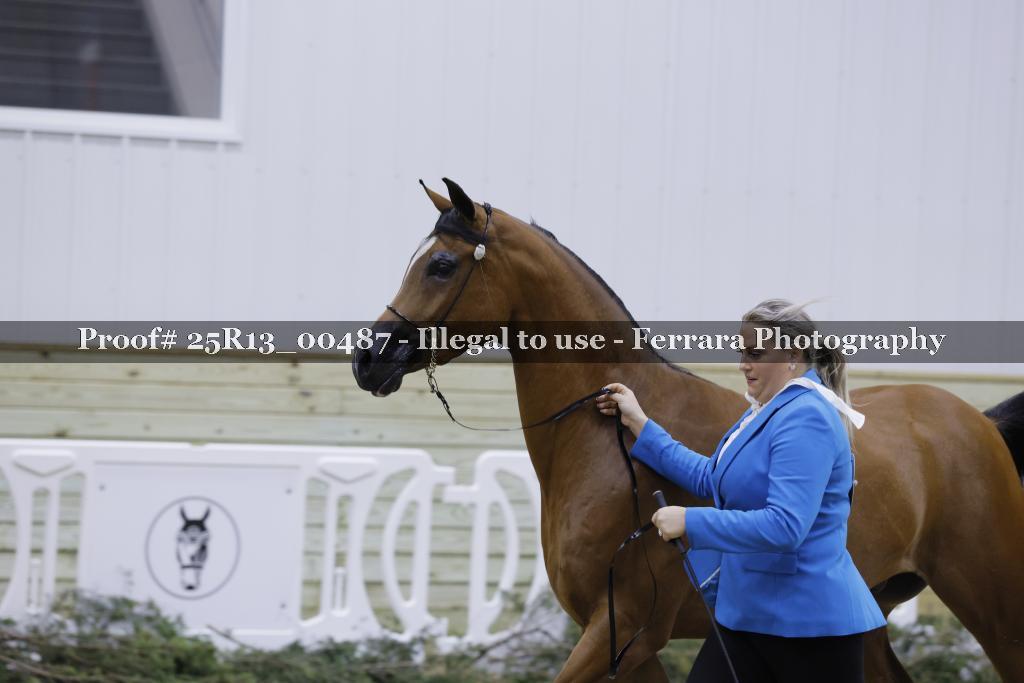 Proof Number 25R13_00487