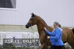 25R13_00487 thumbnail