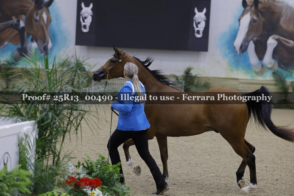 Proof Number 25R13_00490