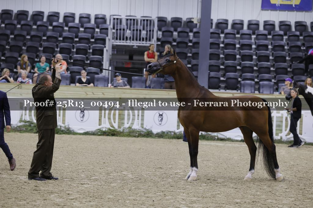 Proof Number 25R13_00494