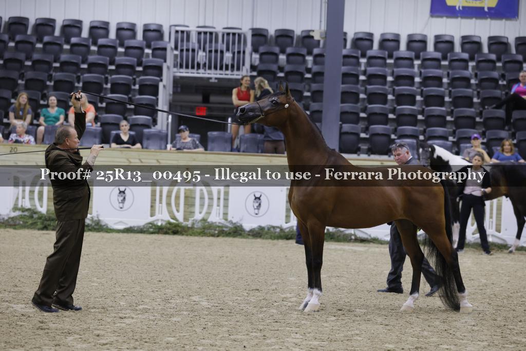 Proof Number 25R13_00495