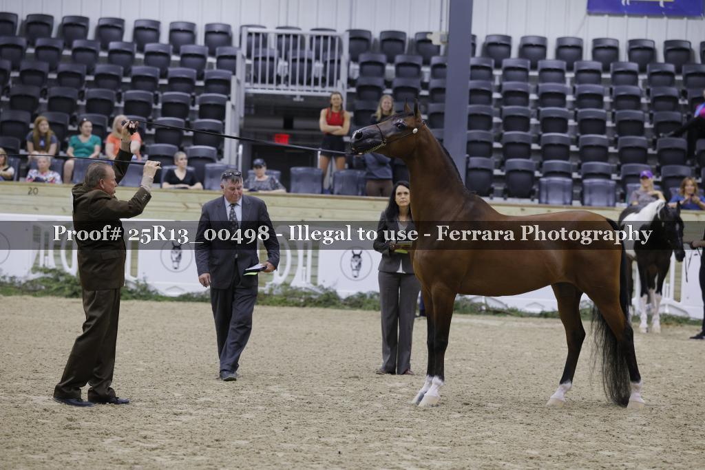 Proof Number 25R13_00498