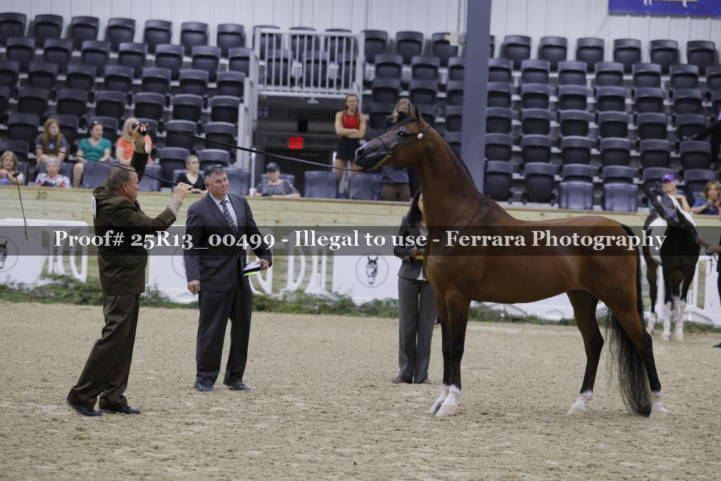 Proof Number 25R13_00499