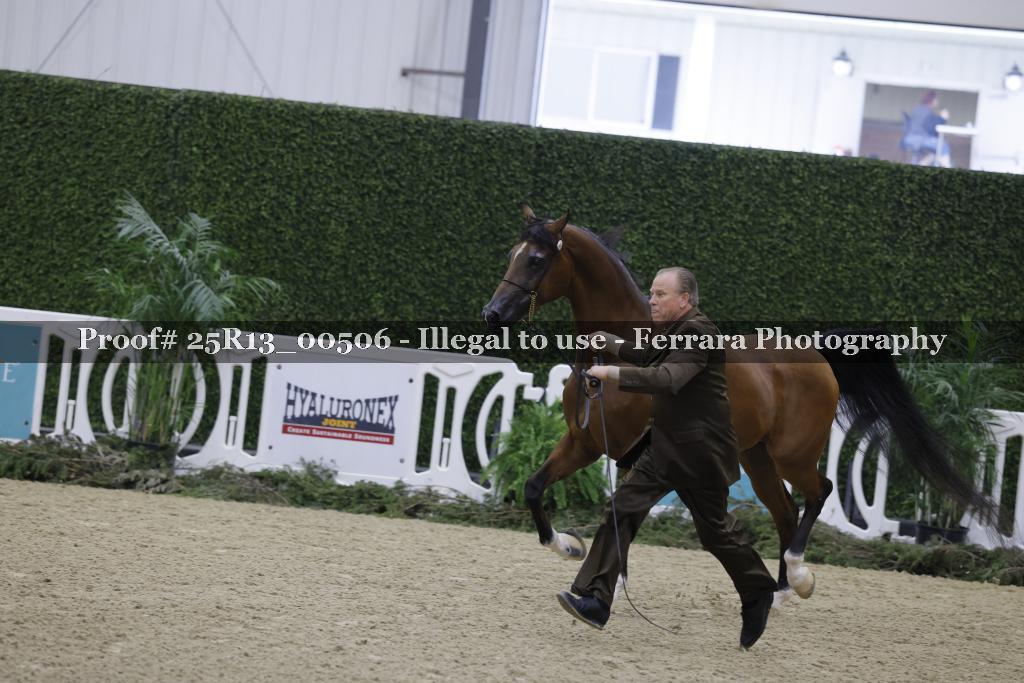 Proof Number 25R13_00506