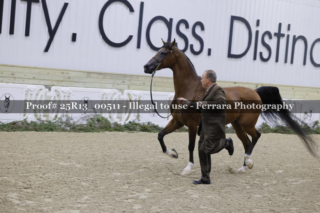Proof Number 25R13_00511