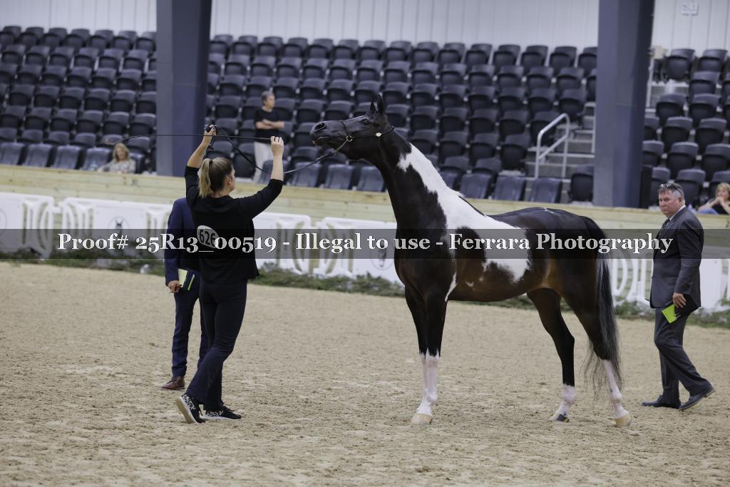 Proof Number 25R13_00519