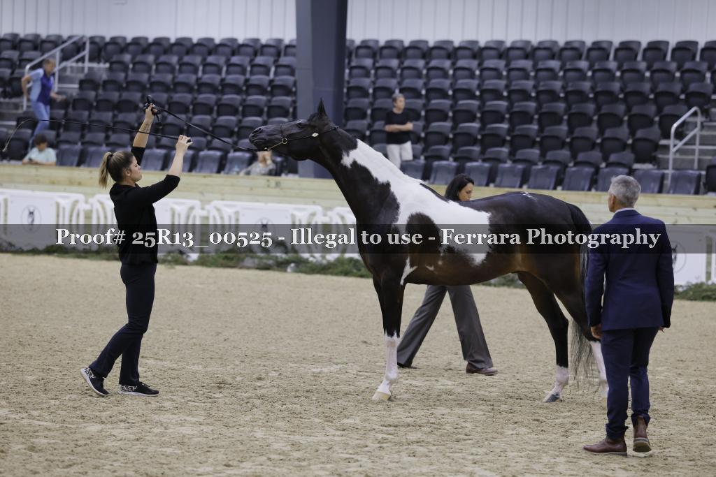 Proof Number 25R13_00525