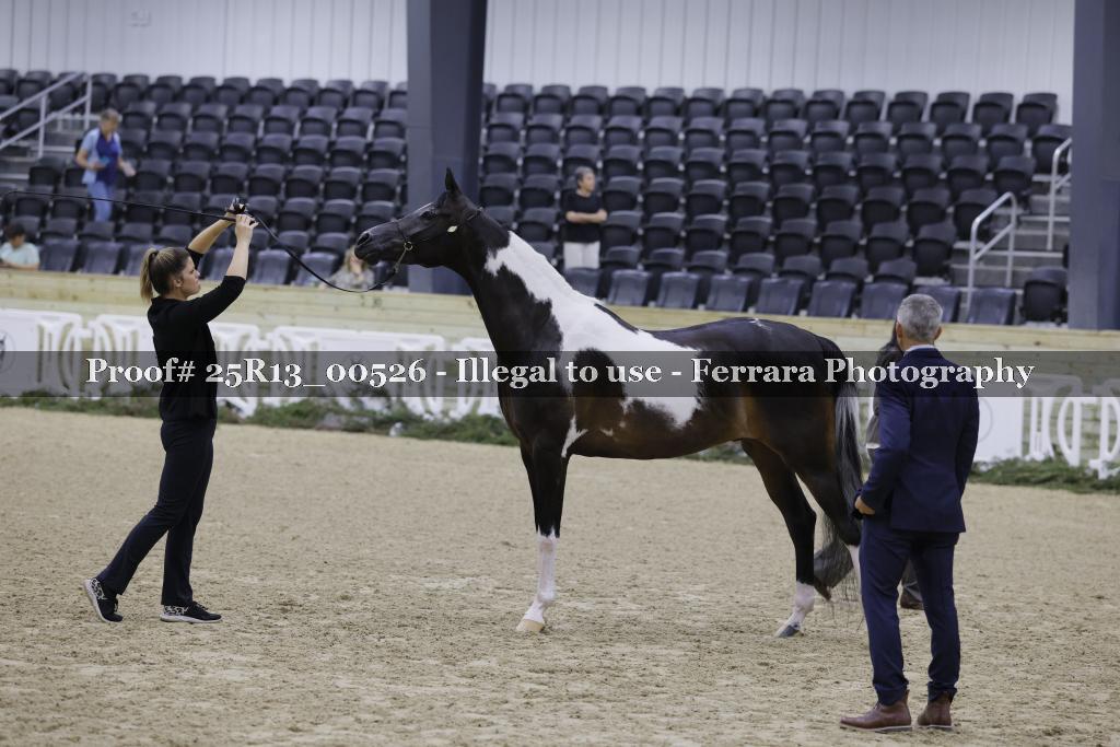 Proof Number 25R13_00526