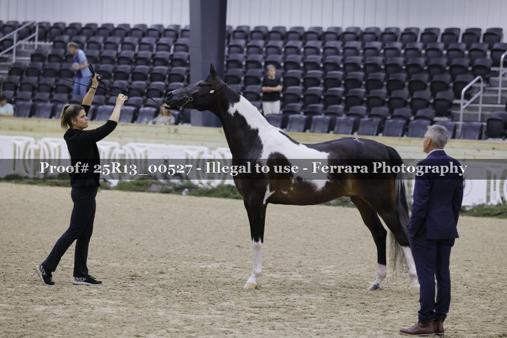 Proof Number 25R13_00527