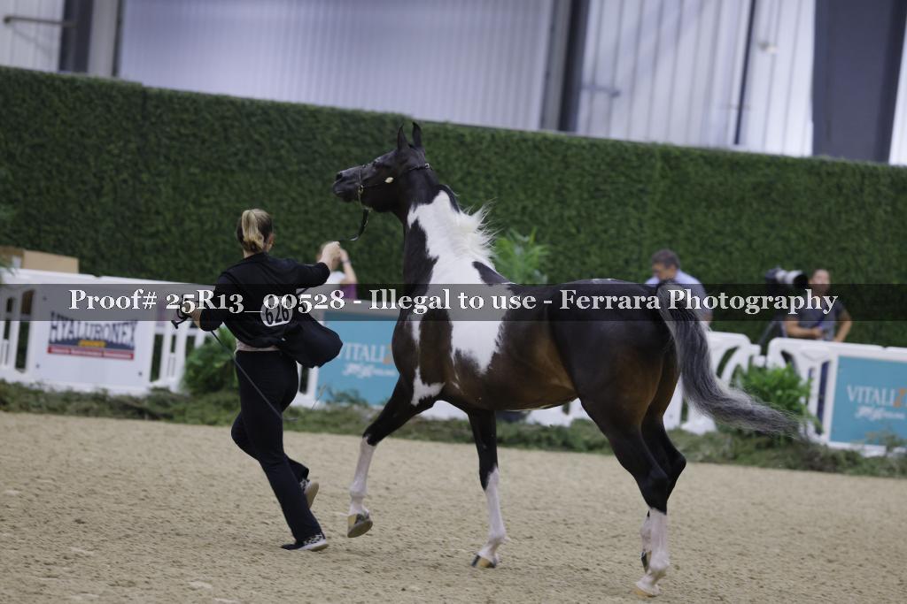 Proof Number 25R13_00528