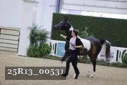 25R13_00531 thumbnail