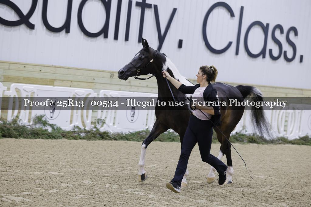 Proof Number 25R13_00534