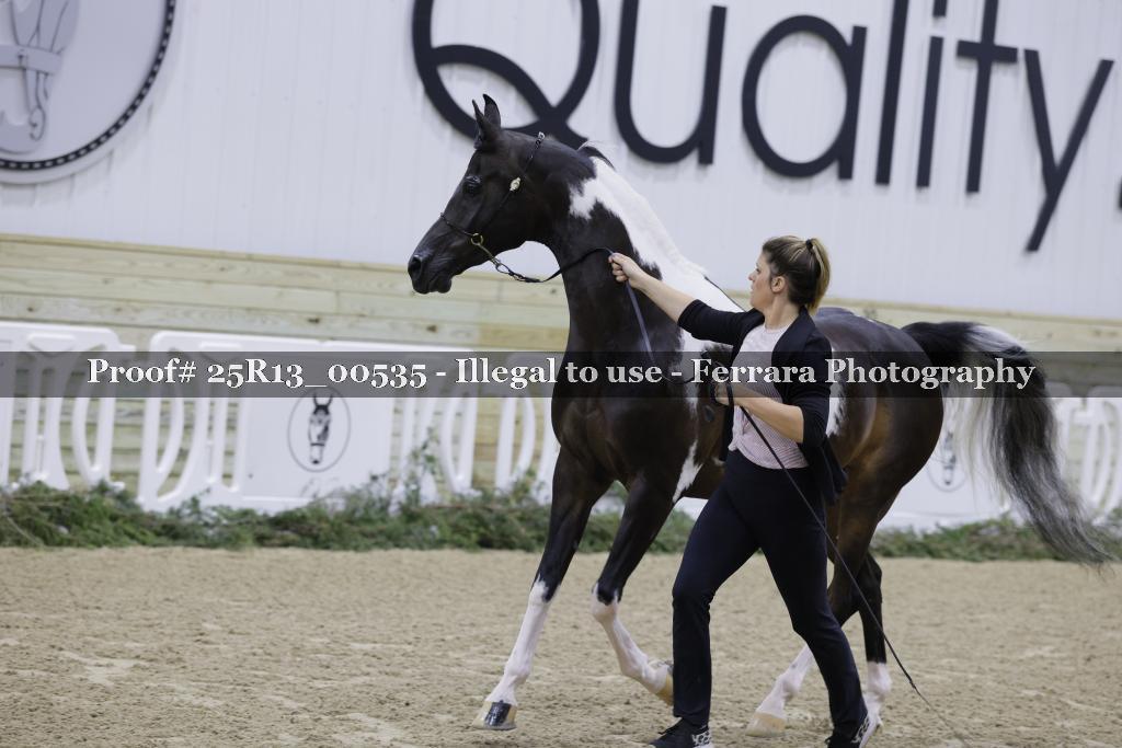 Proof Number 25R13_00535