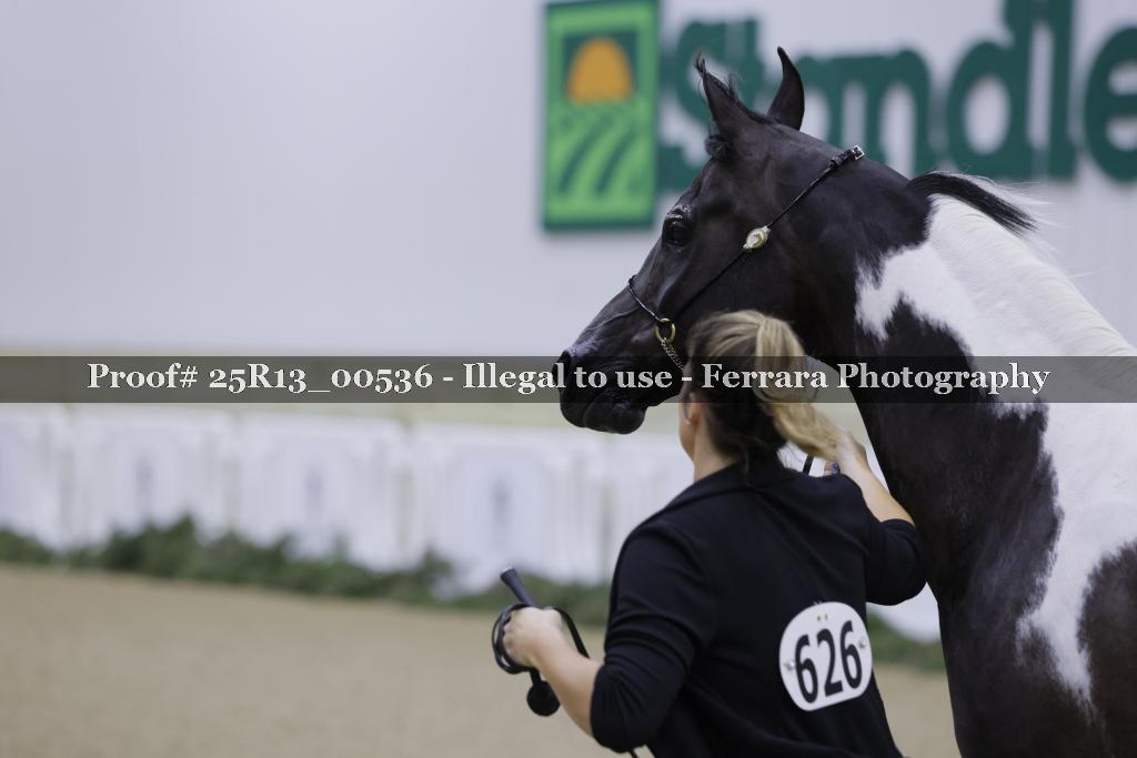 Proof Number 25R13_00536