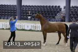 25R13_00542 thumbnail