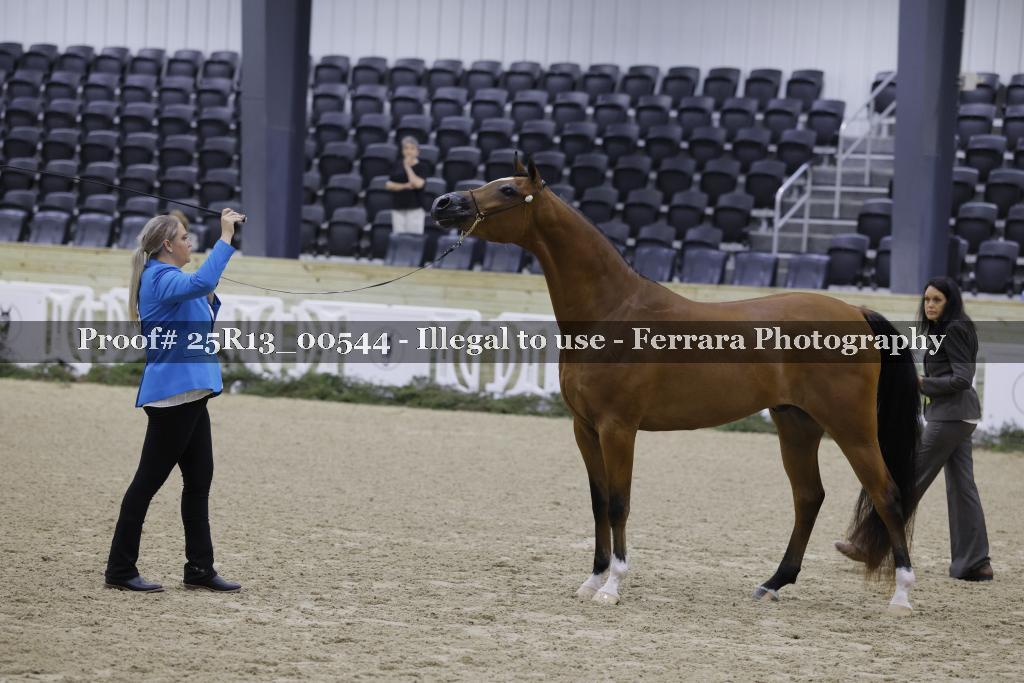 Proof Number 25R13_00544