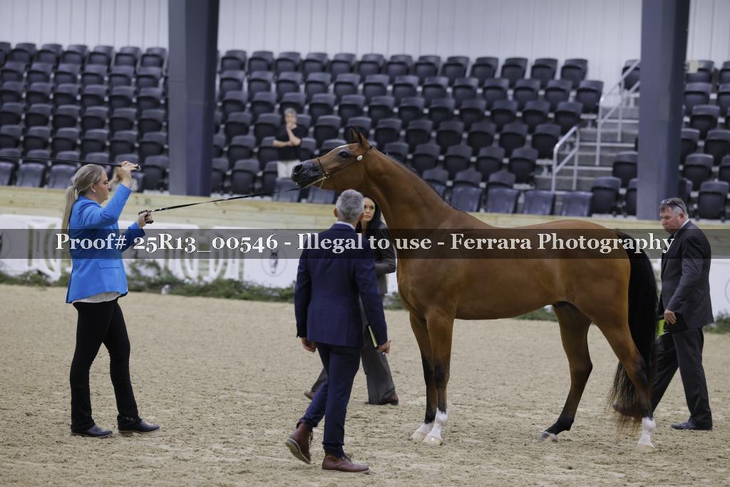 Proof Number 25R13_00546