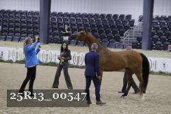 25R13_00547 thumbnail
