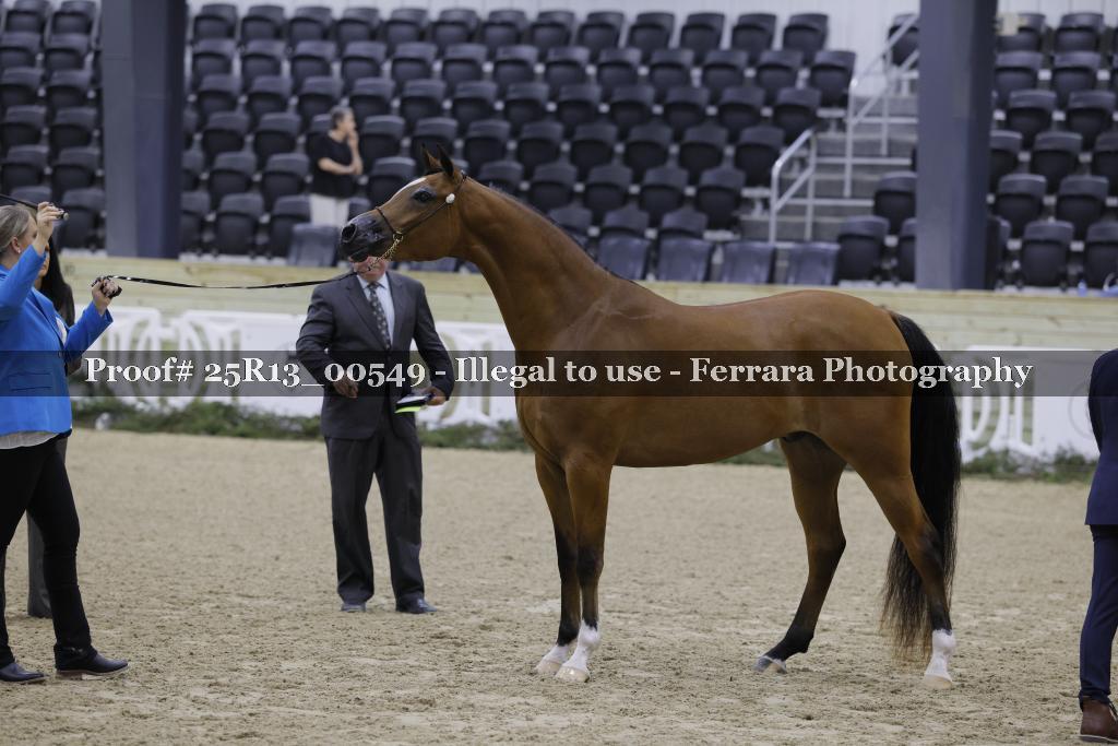 Proof Number 25R13_00549