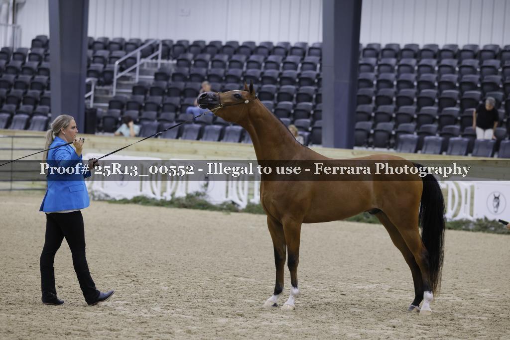 Proof Number 25R13_00552