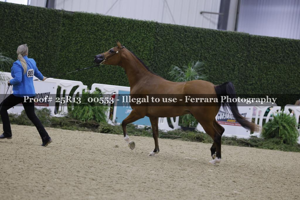 Proof Number 25R13_00553