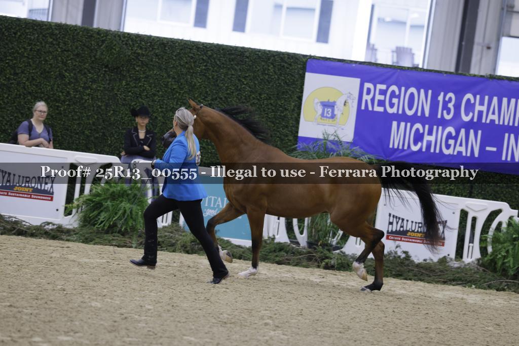 Proof Number 25R13_00555