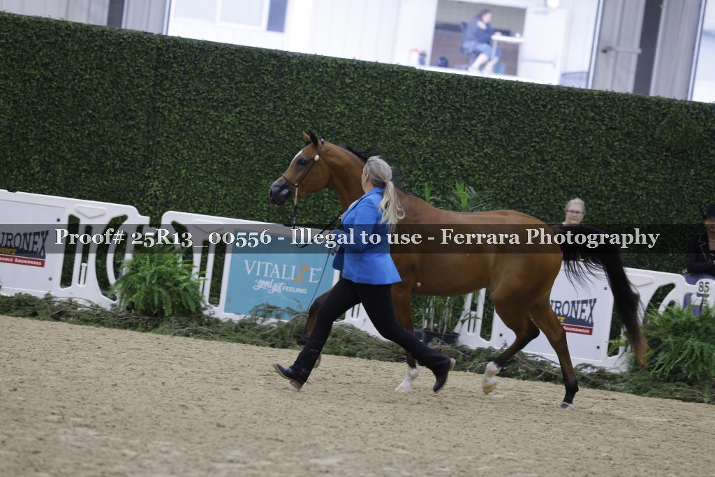 Proof Number 25R13_00556