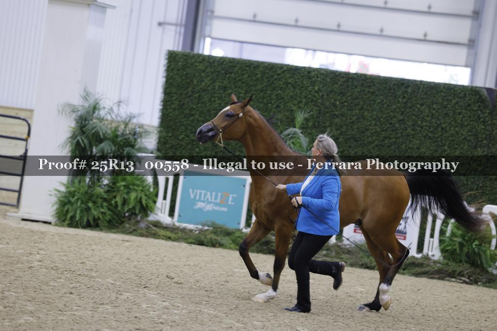Proof Number 25R13_00558