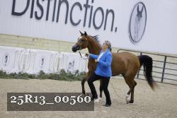 25R13_00560 thumbnail